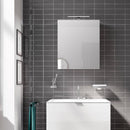 Emco Mee mounted mirror cabinet with lighting and 1 door