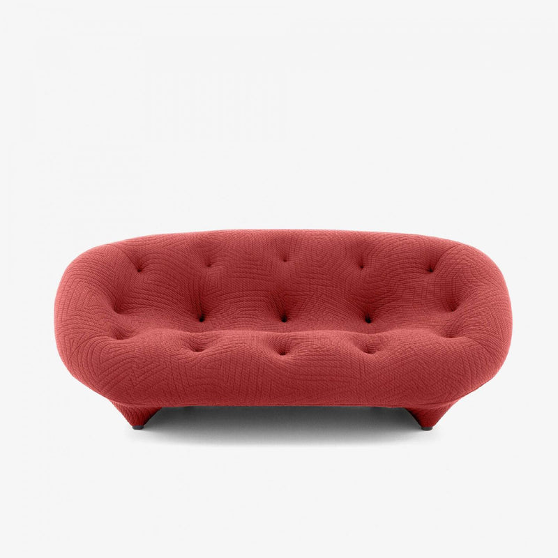 LIGNE ROSET 中型沙發高背花邊