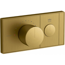 科勒 K-26345T-9-2MB Anthem 控制面板（現代金）