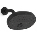 科勒 K-26290T-BL STATMENT 多功能花灑 (黑色)