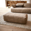 科伊諾·阿維沃