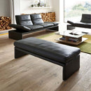 科伊諾·拉烏爾