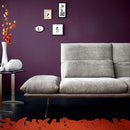 科伊諾·弗朗西斯