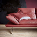 科伊諾·弗朗西斯