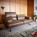 科伊諾·哈里斯