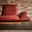 科伊諾·瑪麗蓮