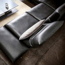 科伊諾·弗朗西斯