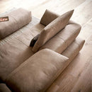 科伊諾·阿維沃