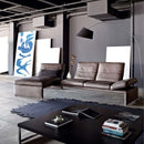 科伊諾·拉烏爾