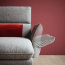 科伊諾·麥克斯韋