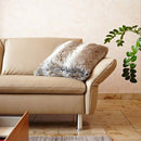 科伊諾維多利亞