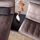 科伊諾·拉烏爾