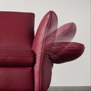 科伊諾維多利亞