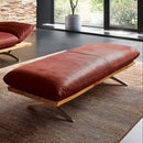 科伊諾·瑪麗蓮