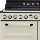 Smeg Range Cooker 90x60cm TR93IP