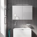 Emco Mee mounted mirror cabinet with lighting and 2 doors