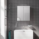 Emco Mee mounted mirror cabinet with lighting and 2 doors