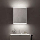 Emco Prime2 mirror cabinet with lighting and 2 doors