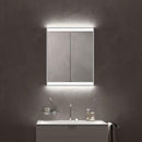 Emco Prime2 mirror cabinet with lighting and 2 doors