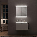 Emco Prime2 mirror cabinet with lighting and 2 doors