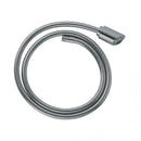 Grohe Zedra/Europlus 噴霧 46246 