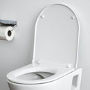 LAUFEN Pro 馬桶座圈，附細蓋