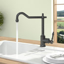 Villeroy & Boch Avia 2.0 single-lever kitchen mixer tap