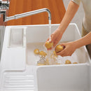 Villeroy & Boch double butler sink